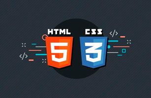 Web dizayn. (CSS3, FLEX, Bootstrap, LESS)